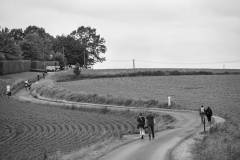 DP1_9917